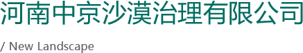 河南中京沙漠治理有限公司@2x.png